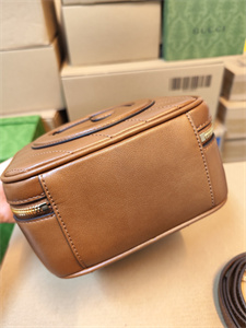 Gu.cci Blondie Top Handle Bag Brown Leather 744434