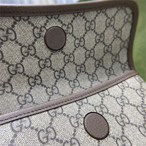 Gu.cci Neo Vintage Supreme Belt Bag 493930