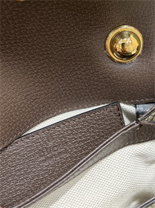 Gu.cci Blondie Mini Bag GG Supreme Canvas 698643