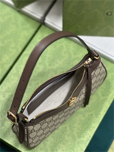 Gu.cci Ophidia GG Small Handbag Supreme Canvas 735145