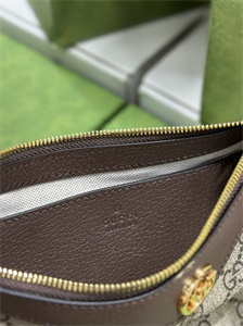 Gu.cci Ophidia GG Small Handbag Supreme Canvas 735145