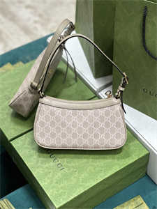Gu.cci Ophidia GG Small Handbag Supreme Canvas 735145