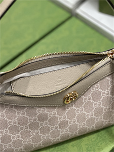 Gu.cci Ophidia GG Small Handbag Supreme Canvas 735145