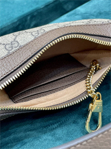 Gu.cci Ophidia GG Mini Bag GG Supreme Canvas 658551