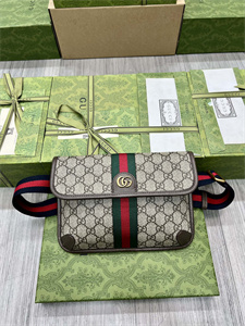 Gu.cci Ophidia GG Small Belt Bag 752597