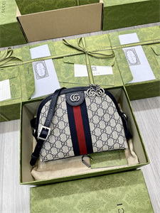 Gu.cci Ophidia GG Small Shoulder Bag Supreme Canvas 499621