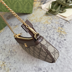 Gu.cci Ophidia Mini Bag GG Supreme Canvas 764960