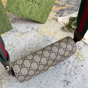 Gu.cci Ophidia Mini Bag GG Supreme Canvas 764961