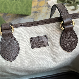 Gu.cci Ophidia Mini Tote Bag GG Supreme Canvas 765043