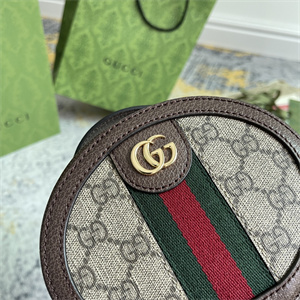 Gu.cci Ophidia Mini Chain Top Handle Bag GG Supreme Canvas 725147