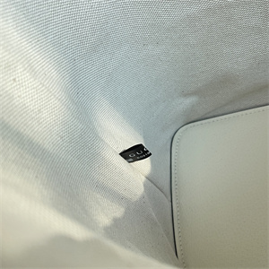 Gu.cci Ophidia Medium Tote Bag White Leather 778958