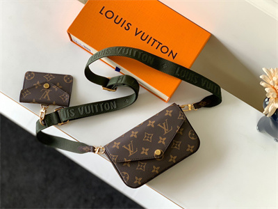 L.V  Felicie Pochette Strap & Go Monogran Canvas M80091