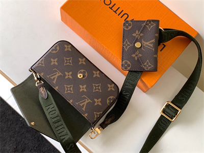 L.V  Felicie Pochette Strap & Go Monogran Canvas M80091