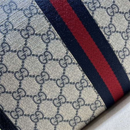 Gu.cci Ophidia GG Pouch Supreme Canvas 625549