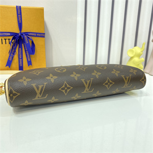 L.V EVA Bag Monogram Canvas M95567