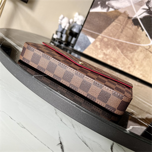 L.V  Felicie Pochette Damier Ebene Chain N63032