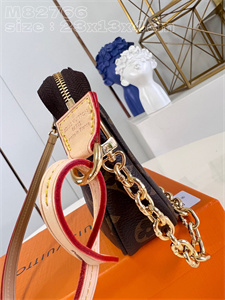 L.V  Pochette Accessories Monogram Canvas M82766