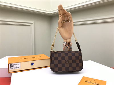 L.V Mini Pochette Accessories Damier Ebene N58010