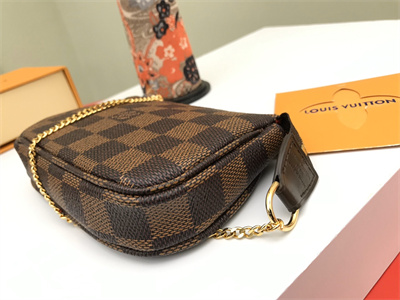 L.V Mini Pochette Accessories Damier Ebene N58010