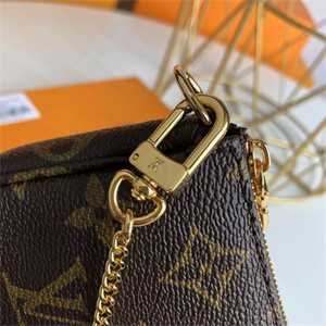 L.V Mini Pochette Accessories Monogram Canvas M58009