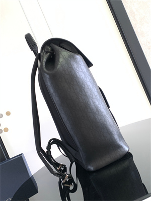 Dior Backpack Black Oblique Calfskin