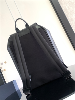 Dior Backpack Black Oblique Calfskin