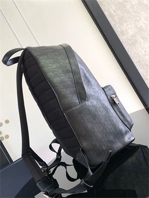Dior Backpack Black Oblique Calfskin