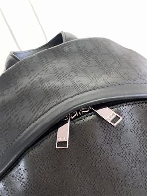 Dior Backpack Black Oblique Calfskin