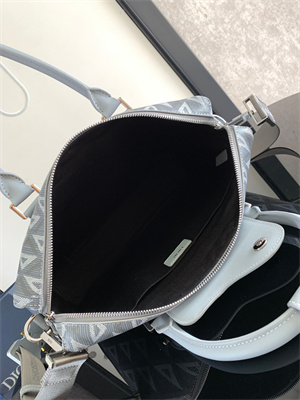 Di.or Lingot Briefcase Grey CD diamond Canvas And Smooth Calfskin