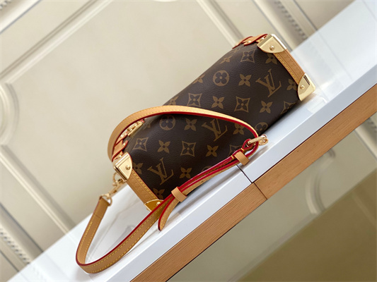 LV  Side Trunk MM  Monogram Canvas M46358