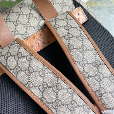 Gu.cci GG Backpack Ostrich With Double G 710859