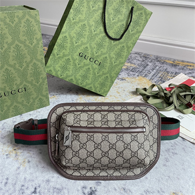Gu.cci GG  Belt Bag 760217