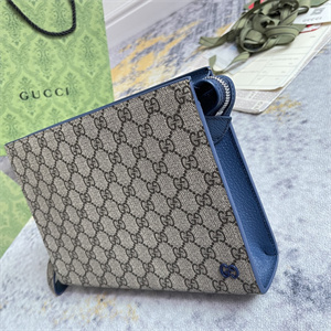 Gu.cci Pouch Canvas with GG Detail Blue 768255