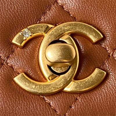 Cha.nel Wallet On Chain Lambskin Gold Tone Metal Little lion Caramel AP3424