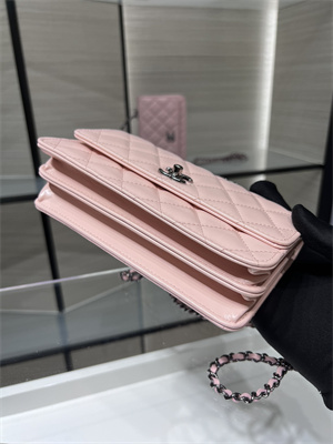 Cha.nel Wallet On Chain With Top Handle Shiny Calfskin Silver Tone Metal Pink AP3566