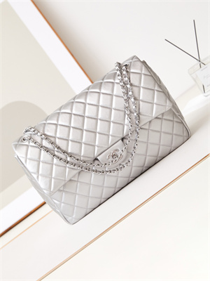 Cha.nel CF Airport Bag Calfskin Silver Tone Metal Silver AS4661
