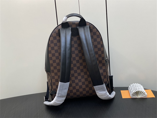 L.V Josh Backpack Damier Ebene N40365