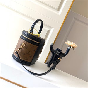 L.V Cannes Bag Monogram Reverse Canvas M43986