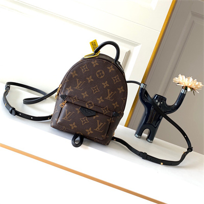 L.V Palm Springs Mini Backpack Monogram Canvas M44873