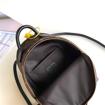 L.V Palm Springs Mini Backpack Monogram Canvas M44873