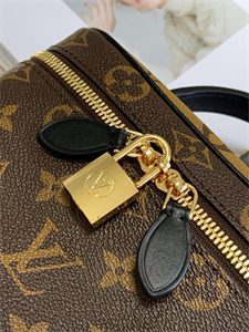 L.V Vanity PM Bag Monogram Canvas M45165