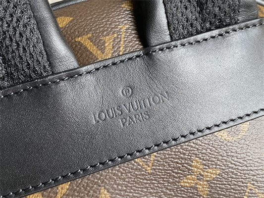 L.V Josh Backpack Monogram Macassar Canvas M45349