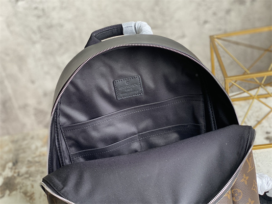 L.V Josh Backpack Monogram Macassar Canvas M45349