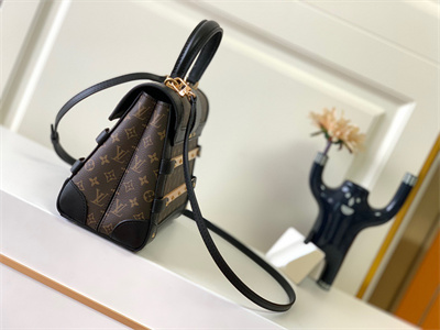 L.V Trianon PM Handbag Monogram Canvas & Cowhide Leather Black M45908