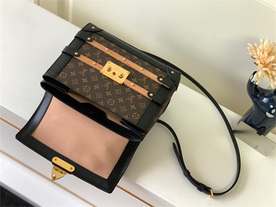 L.V Trianon PM Handbag Monogram Canvas & Cowhide Leather Black M45908