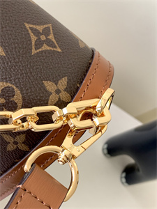 L.V Dauphine MM Bag Monogram Canvas M45958