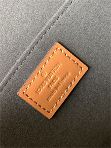 L.V Dauphine MM Bag Monogram Canvas M45958