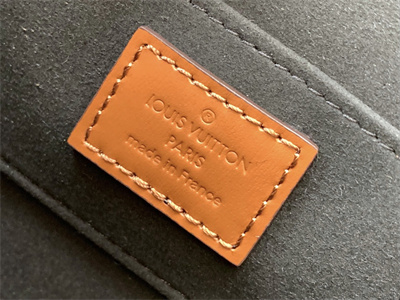 L.V Dauphine Mini Bag Monogram Canvas M45959