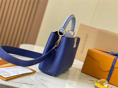 L.V Capucines BB Bag Taurillon Leather Royal Blue/Light Blue M59465