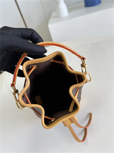 L.V  Nano  Noé Bag Monogram Canvas M81266